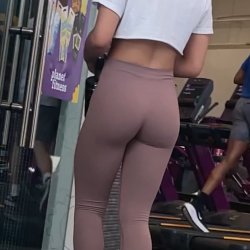 Gym specimen 17