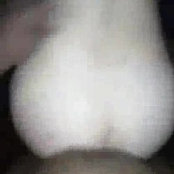 Hot Wife Trying BBC For First Time