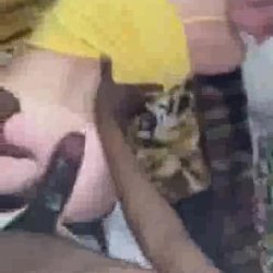 Skilled girl knows how to fuck properly