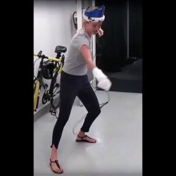 elyse  willems