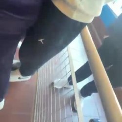 putita de velez apoya la burra a profesor