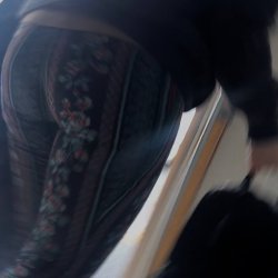 nice ass creepshots