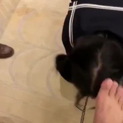 Asiática jefa cul34 y q la maltratex su trabajadores es su 🦊 🐶, Colegiala la 🐶de su hermanastro.