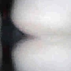 His big black monster cock just drives me wild