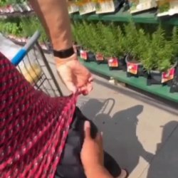Helping a stranger get the spider off