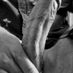 Big dick masturbation nice n slow