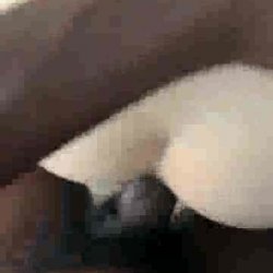 Fat White Woman On A Big Black Cock