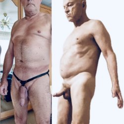 Bulls Swingers