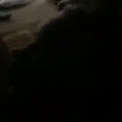 White slut loves his hard black cock