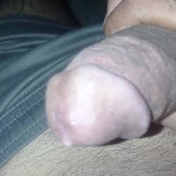 Pra vcs lamberem a tela seus putos e putas