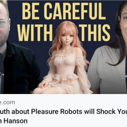 Sociology of Sex Dolls