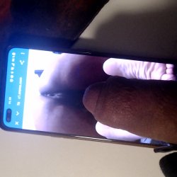 Tribute