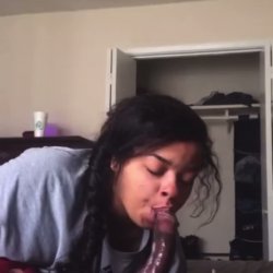 mixedbabydes cocksucker