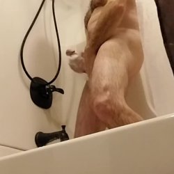 Shower fun