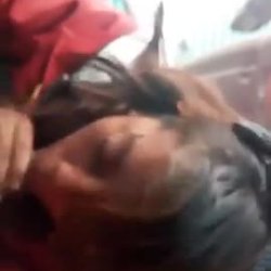 DickFlash the newspaper lady she suck dick and cum in her mouth