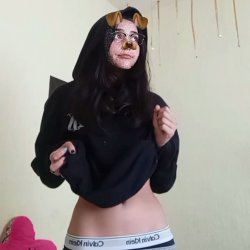 Dany gis