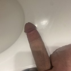 My cock is hard pretty much all the time.