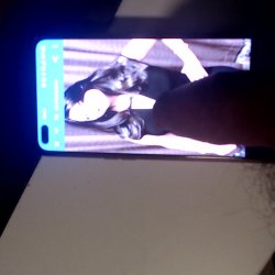 Tribute