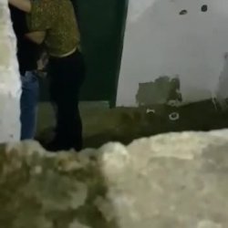Perrita se va de fiesta sin el novio y ve lo que pasa 👀
