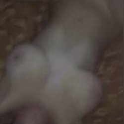 guy lets his buddy fuck his girlfriend for $100 and they fuck her together