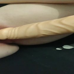Catanduva43