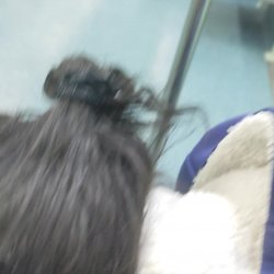 casada me mamando no trem