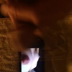 SandPiper cumtribute