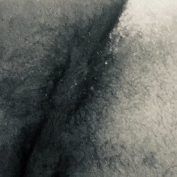 Lick my asshole good whisper to my asshole
