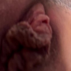 pussy
