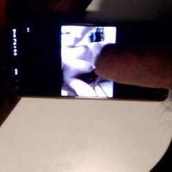Tribute