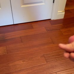 Nutting vid 2