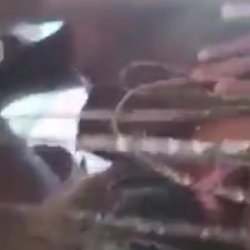 Dançarina de axé caiu na net dando pro cantor de pagode