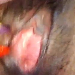 VID-20250310-WA0009