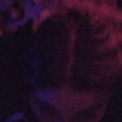 facefuck teen