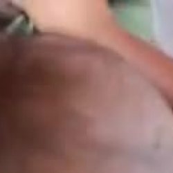 Srilankan son in low fuck to wife's mom