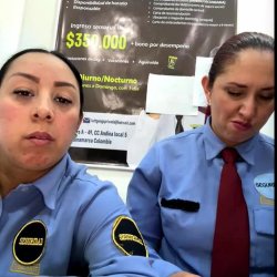 two lesbian securities at work