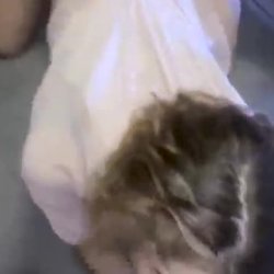 Young 18yo Spanish Teen Facilized By Black Stepbrother In Homemade MMF Interracial Threesome - Sabri