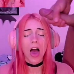 OMeerkatL 12
