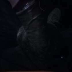 Need a friend