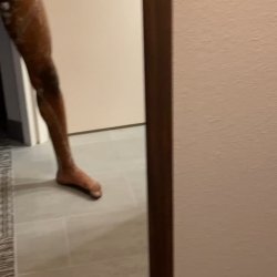 Snapchat-501840804