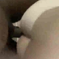 Brunette housewife takes a big black dick in her ass