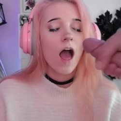 OMeerkatL 7