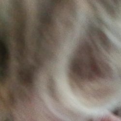 VID_20250307_145823