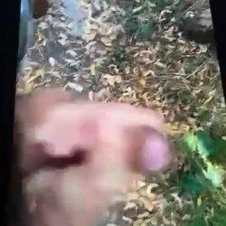 Helping hand in the forest