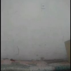 Live Mulatinha magrinha Vídeo Chamada #01