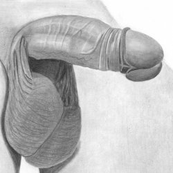Draw