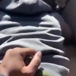 Fucked in car while on phone