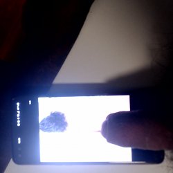 Tribute