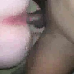 Thick White Girl Sucks And Fucks