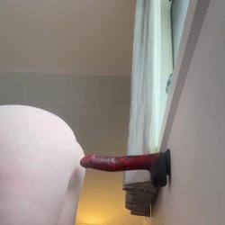 Dildo doggy - Amateur homemade big boobs big tits MILF GILF busty pawg mature private